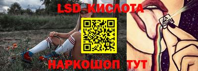 PSILOCYBIN Можга