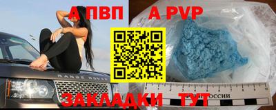 PSILOCYBIN Можга