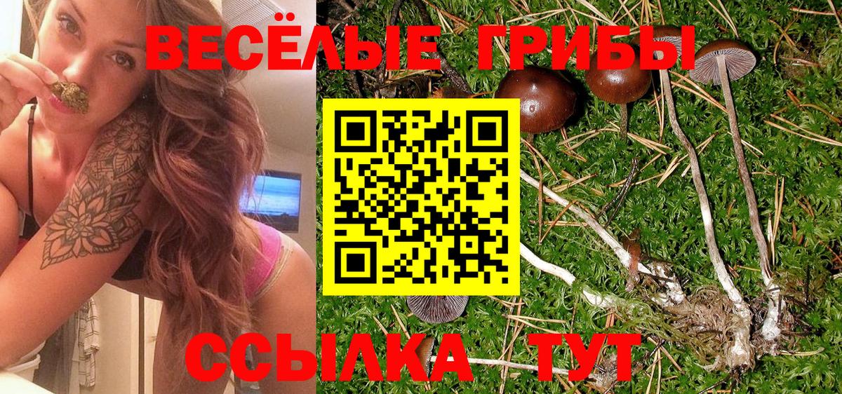 Галлюциногенные грибы Magic Shrooms  Вход с VPN  закладка  Сланцы 